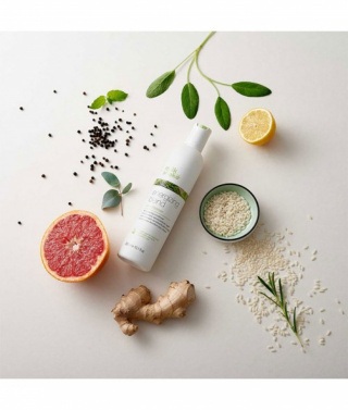 Milk Shake - Sakura Cosmetics